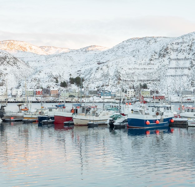 Fiskebåter i havn i Kjøllefjord