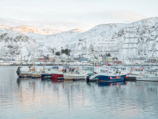 Fiskebåter i havn i Kjøllefjord