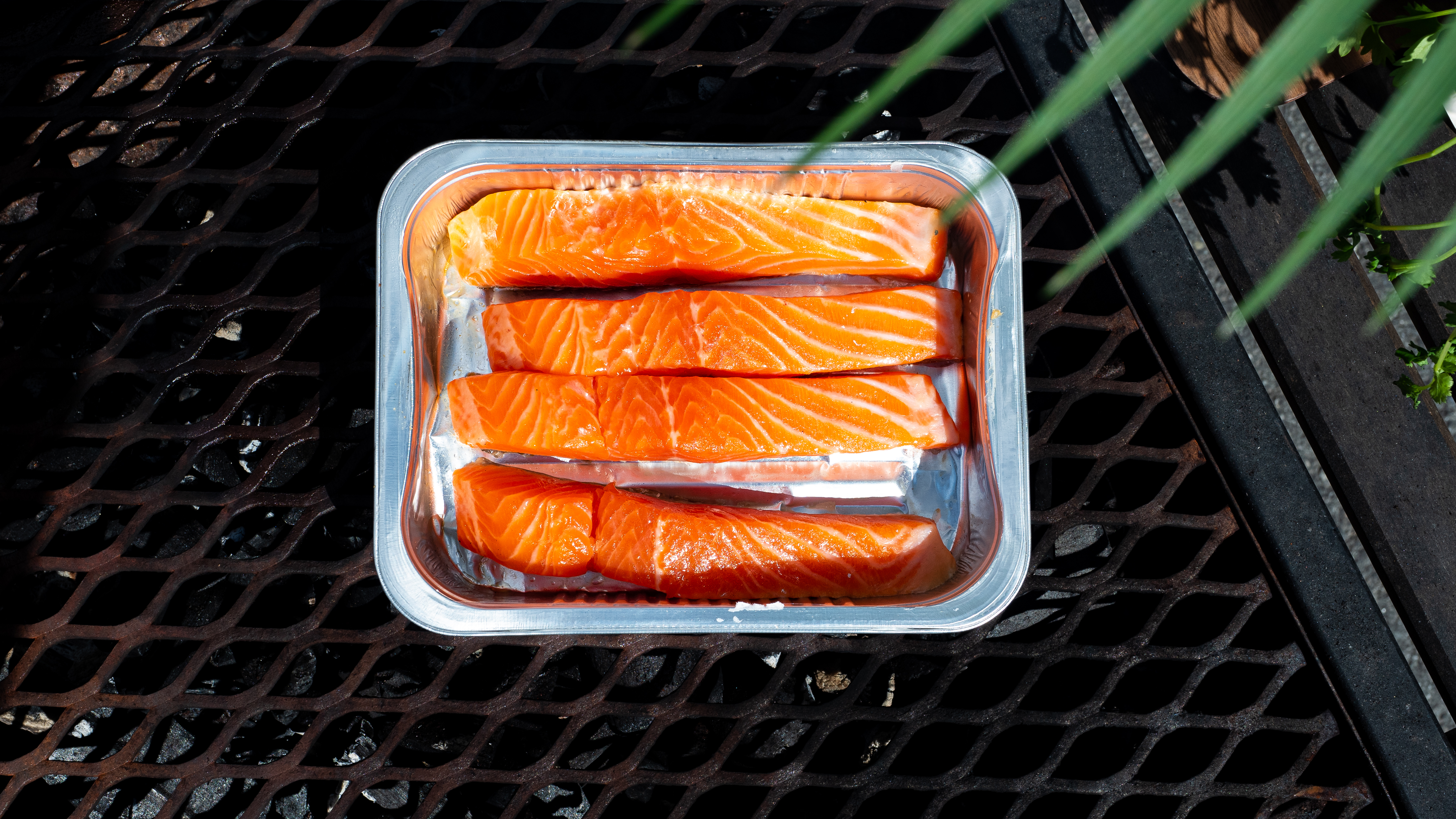 Grillattu lohi maustetahnoilla