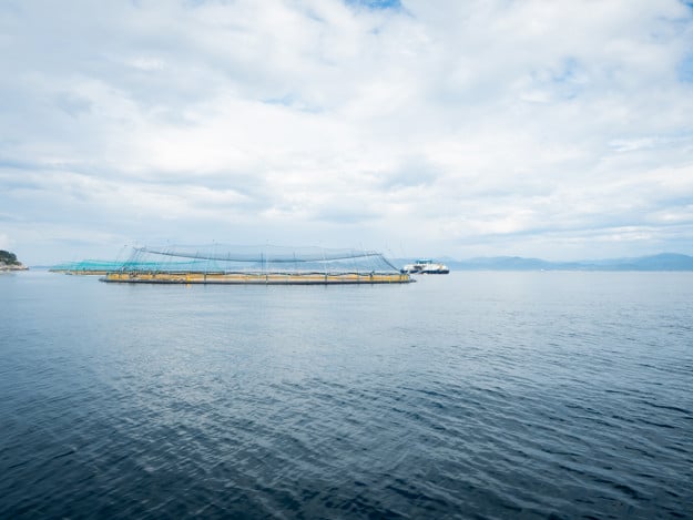 Organic fish cage