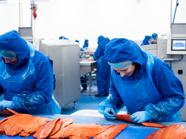 Werkzaam in de fabriek