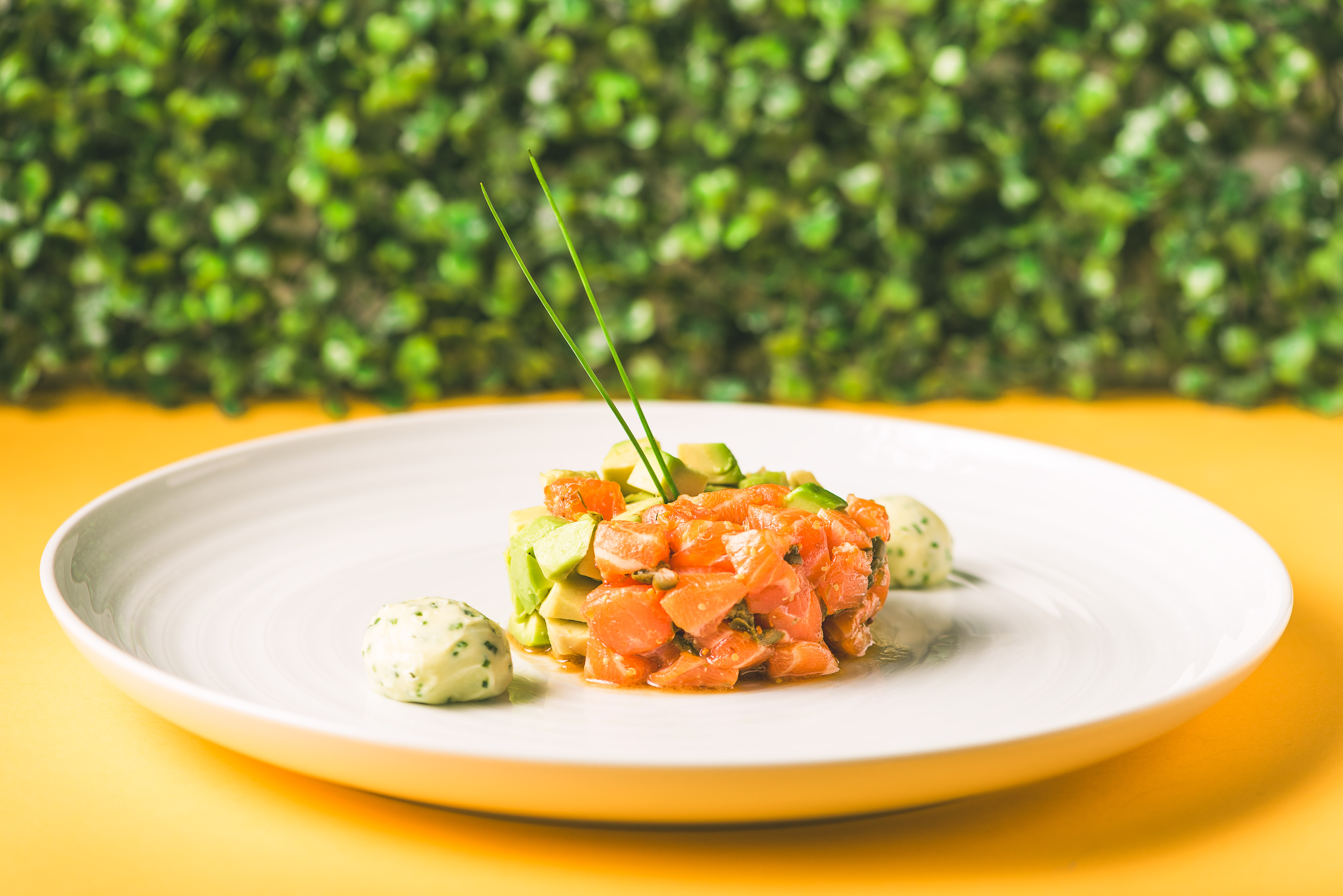 Tartar de salmón con aguacate