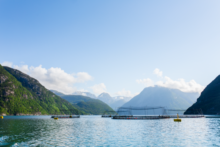 Aguas cristalinas del Mar de Noruega