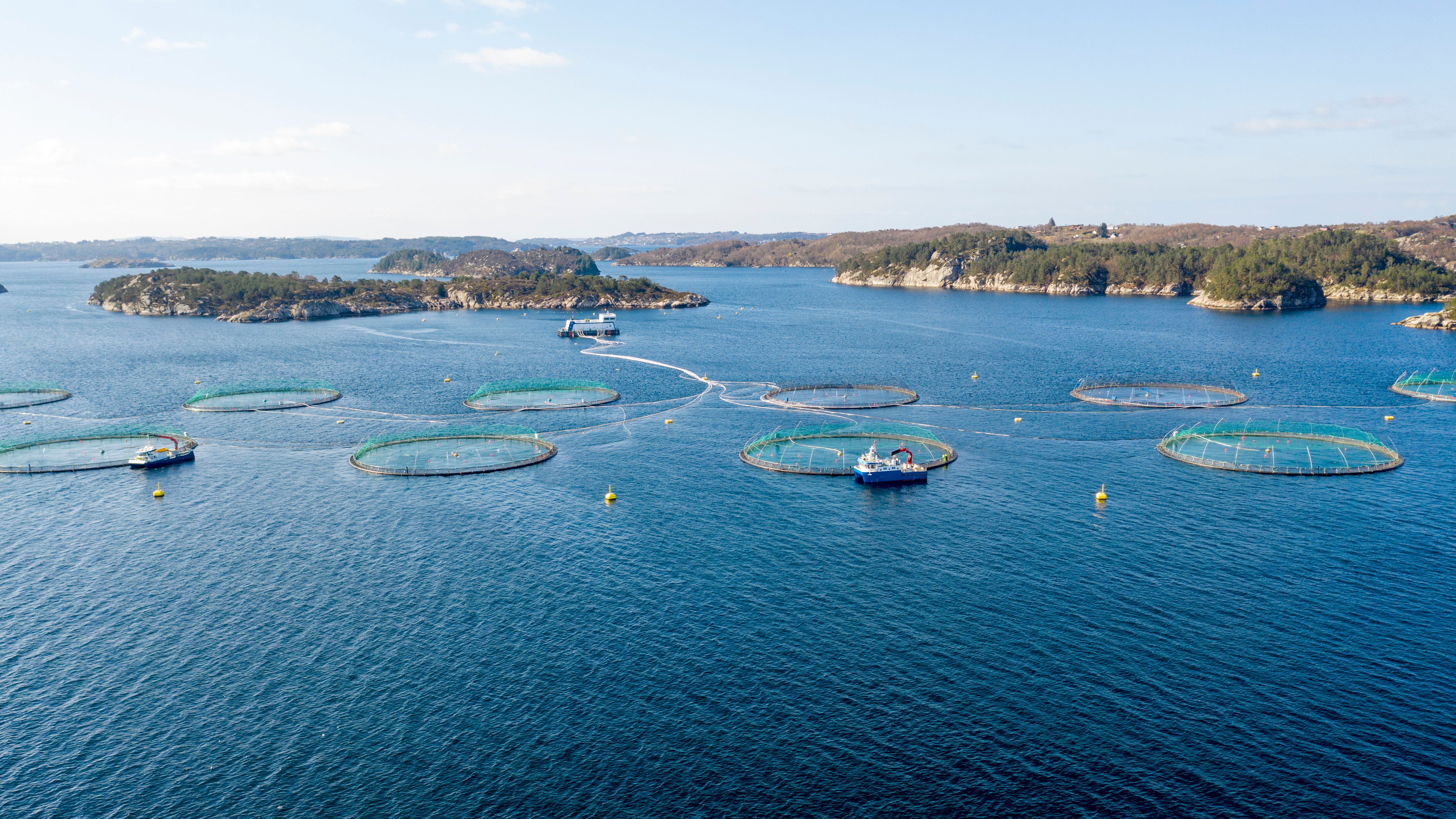 Instalación acuícola