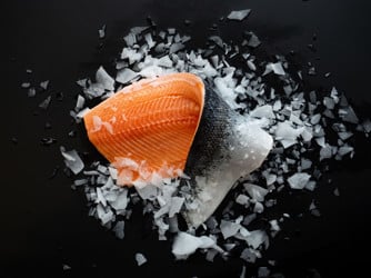 Trout Fillet with skin on ice