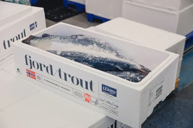 Trucha entera de fiordo en hielo, empacada para su transporte.