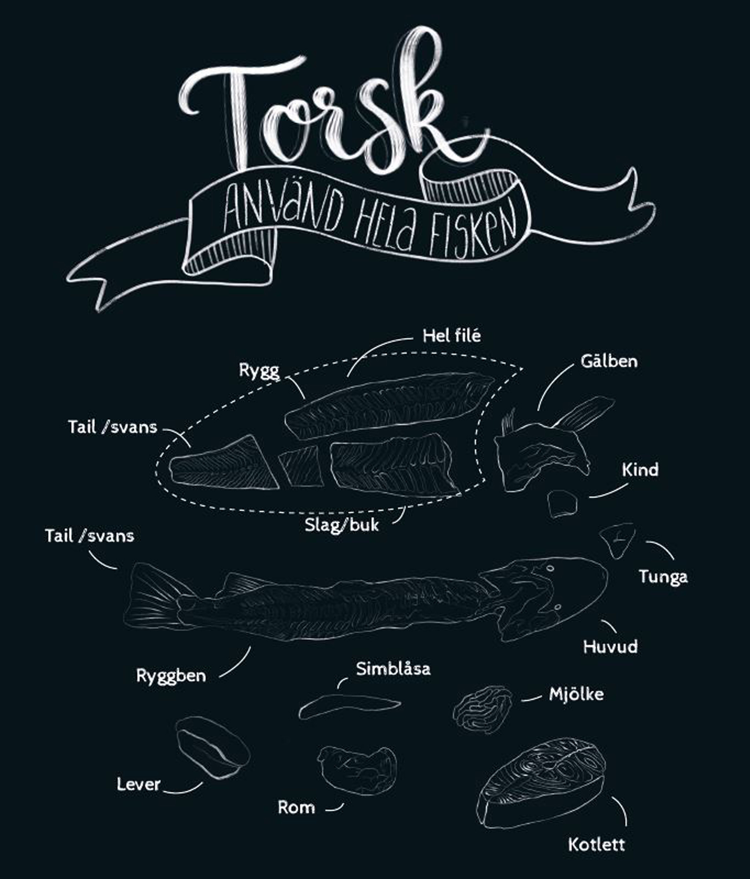 Illustration torsk stykningsdelar