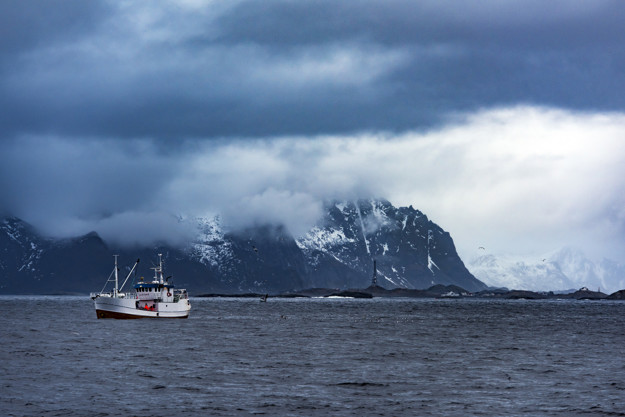 Fiskebåt
