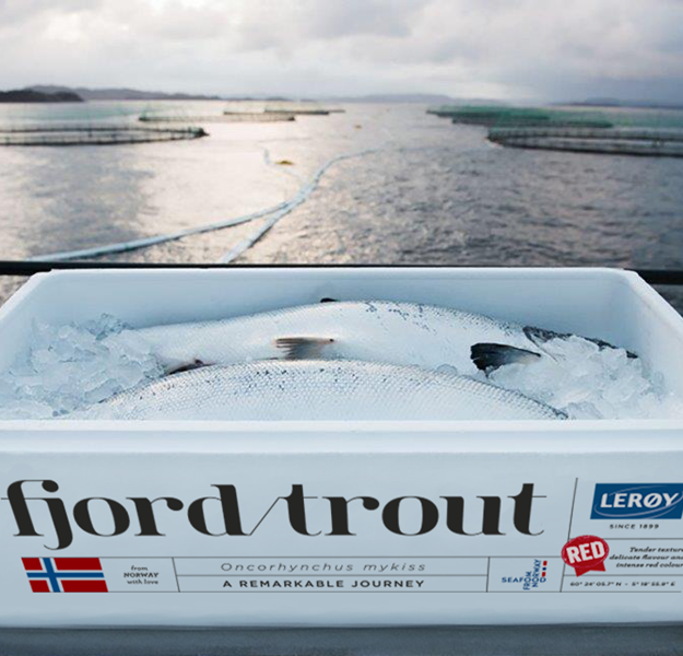 FjordTrout box med fisk
