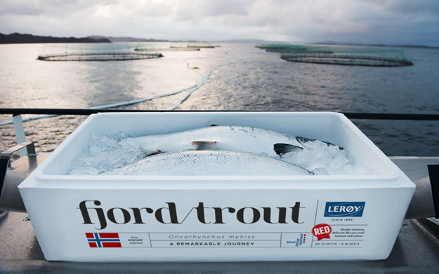 FjordTrout box med fisk