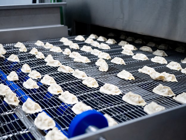 The gyozas in the production line