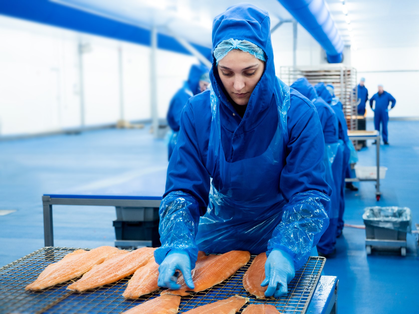Employee with salmon at  Lerøy Seafood Netherlands