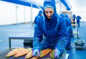 Ansatt i fabrikken i Urk