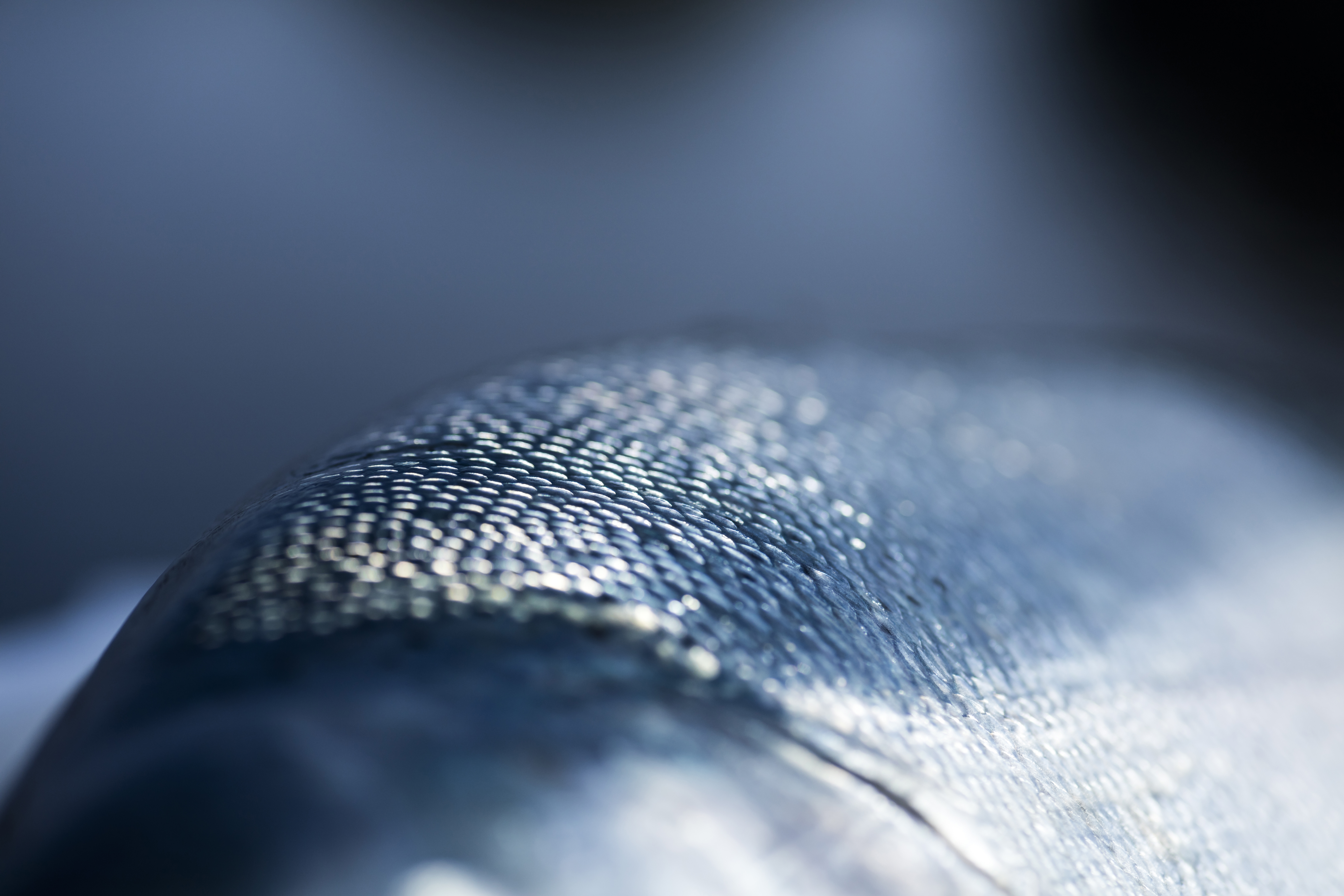 A salmon with focus on its skin