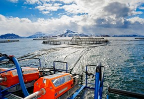 Lerøy sets ambitious climate goals