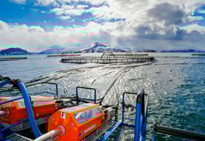 Merd i sjøen og fôrsystem med ledninger