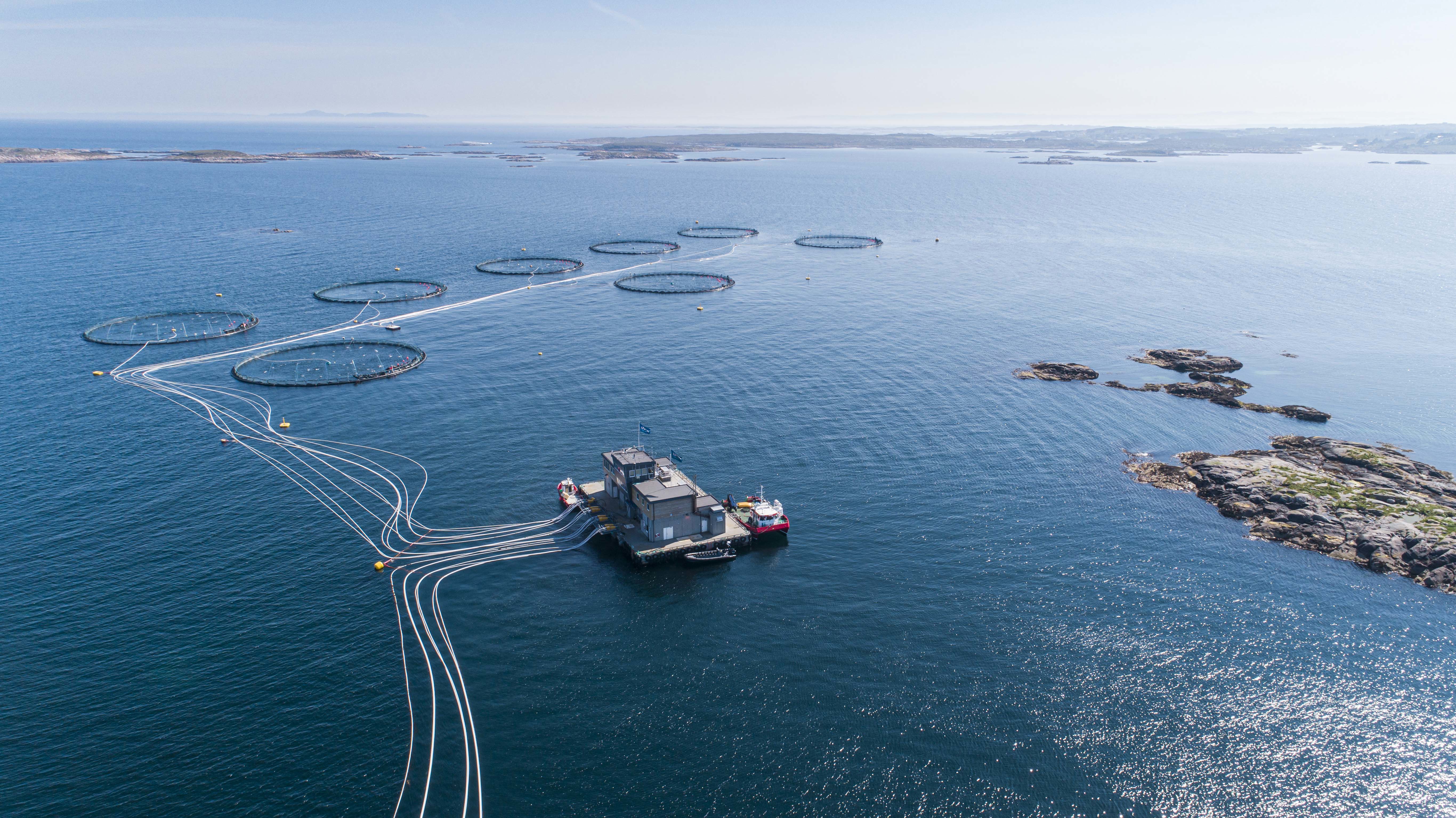 Havbruksanlegg i sjøen.