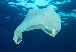 Plastpose i havet
