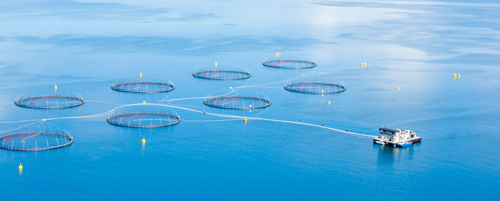 The location Skorpo with several fish cages in the sea
