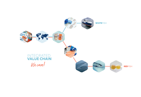 Illustration of Lerøy's value chain