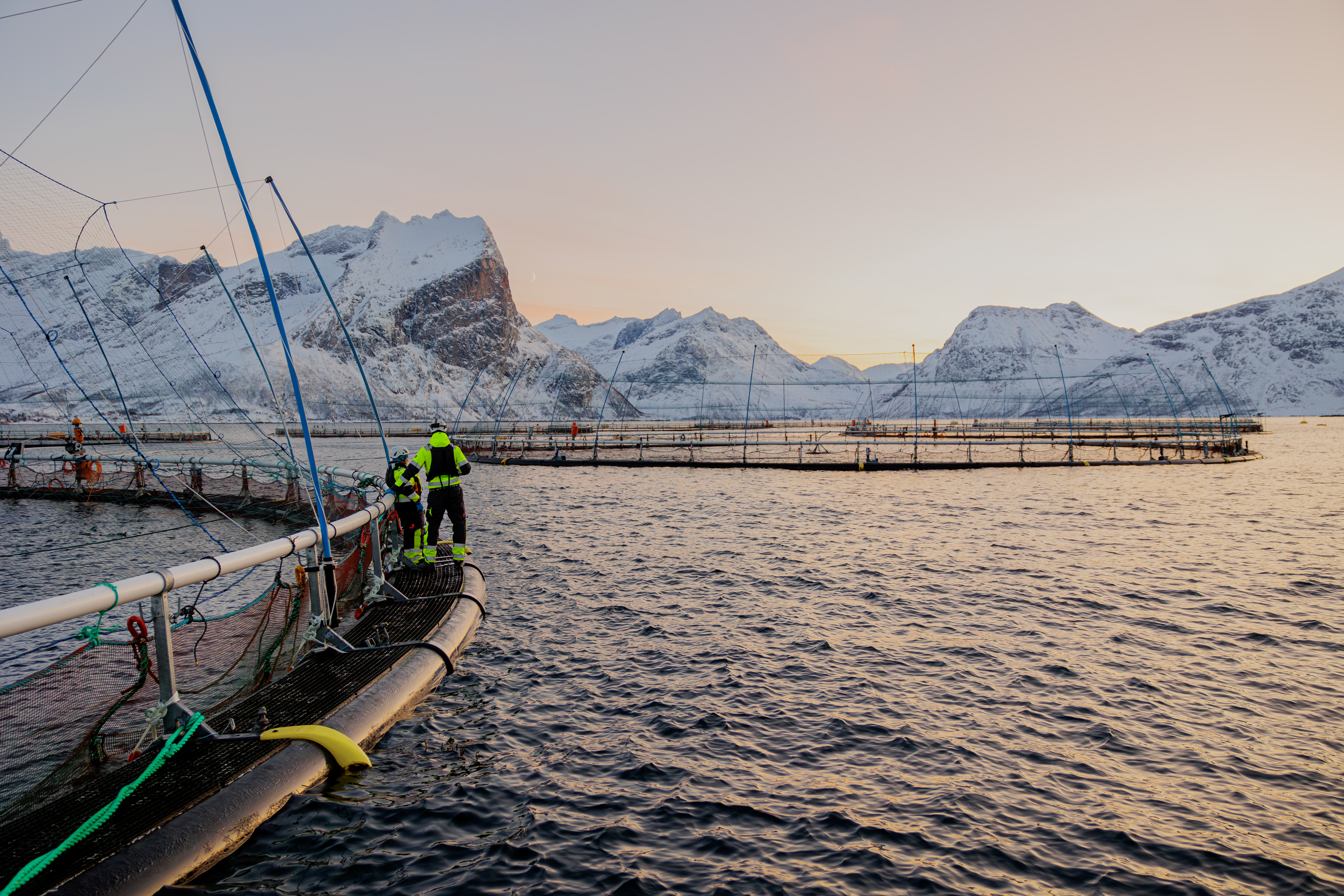 Lerøy-ansatte på merd