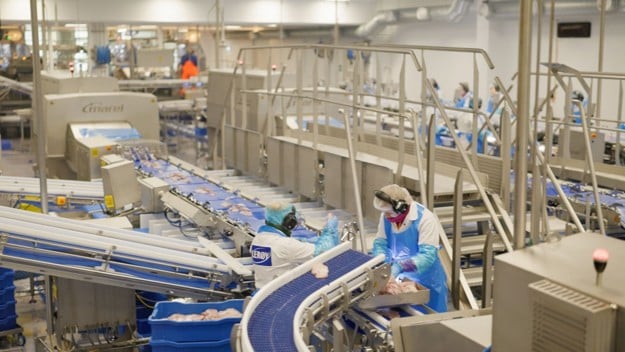 En produksjonslinje hvor man ser flere ansatte jobbe med hvitfisk 
