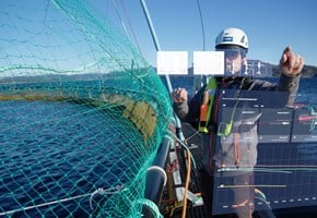 Sjømatnæringen blir «hightech»