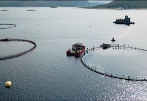 Lerøy tar i bruk ny teknologi i sjø for å sikre vekst i bærekraftig kystnær lakseproduksjon