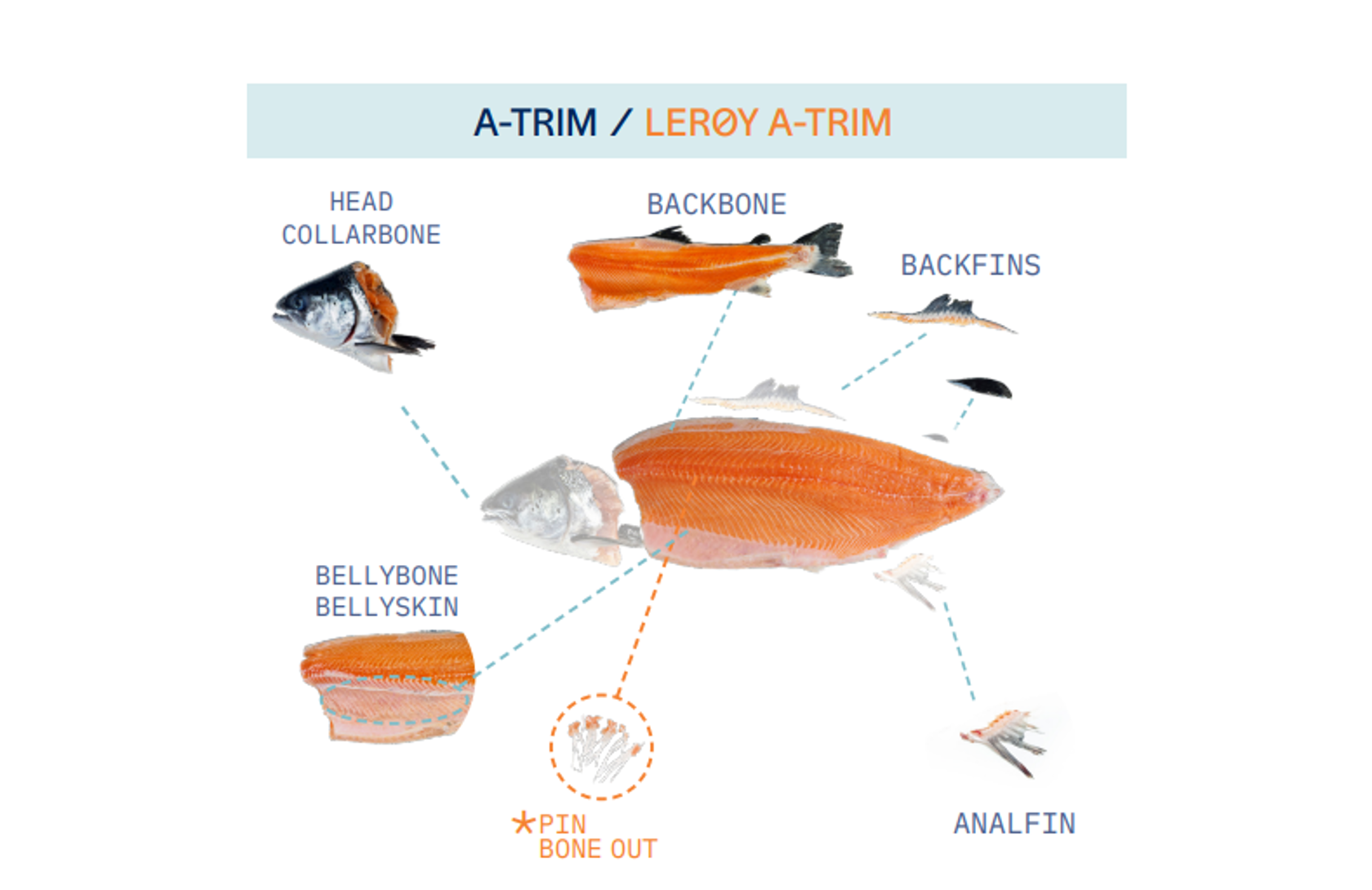 Lerøy Salmon A Trim preview