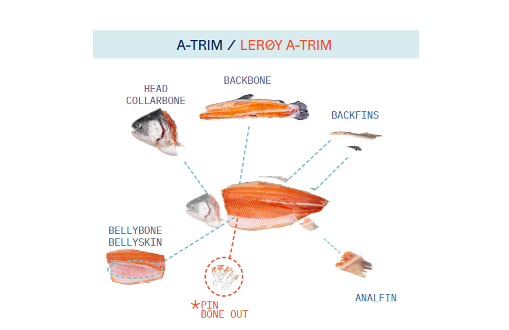 Preview Trim Guide Trout
