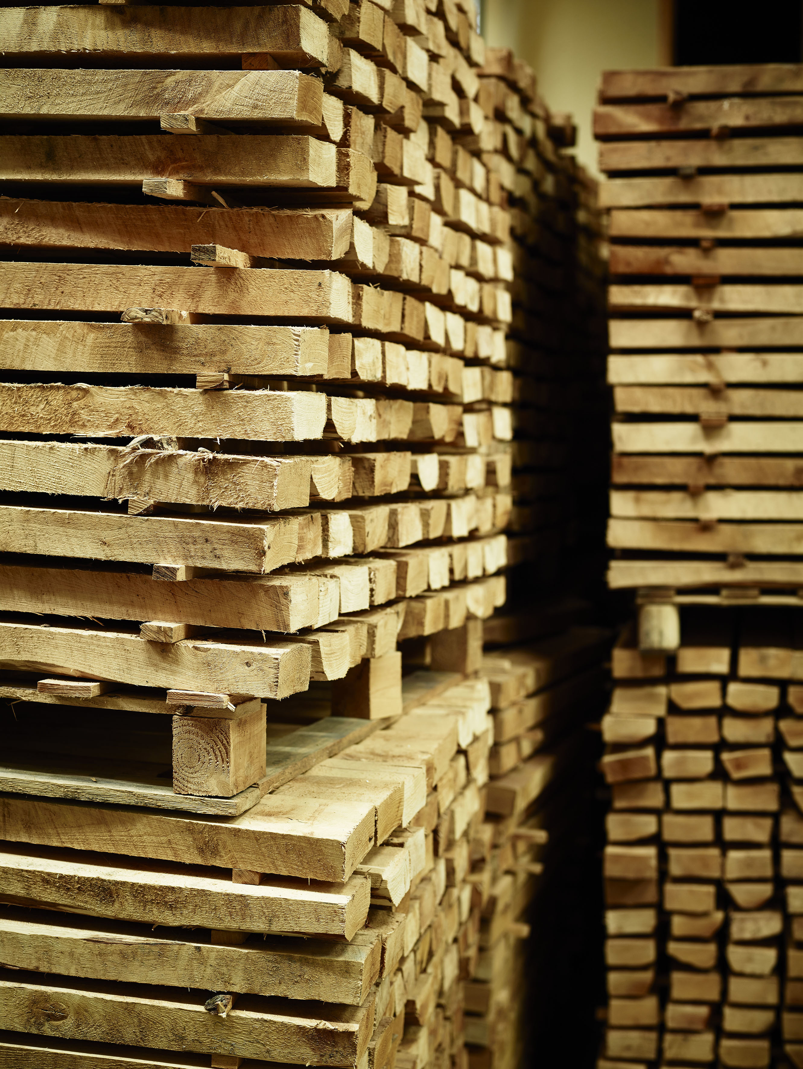 Wood used in smoking  the fish