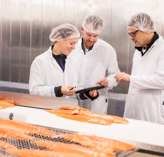Three employees in a factory with salmon fillets