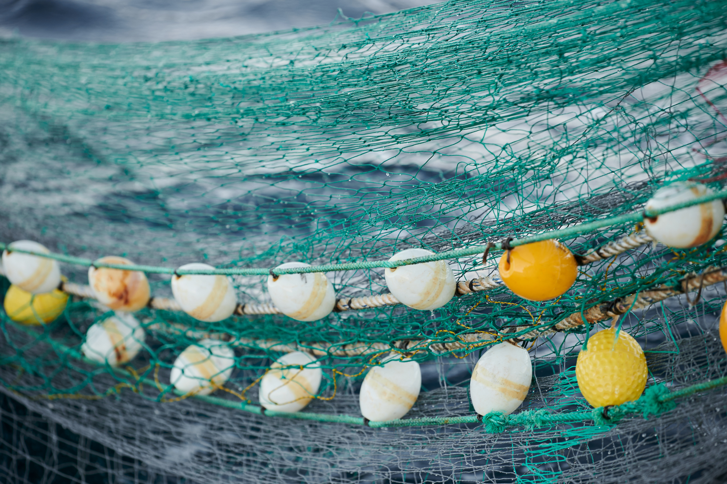 Fishing net close up