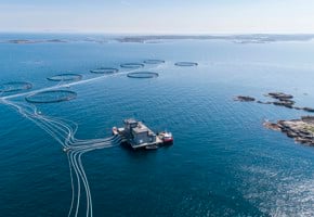 Havbruksanlegg i sjøen