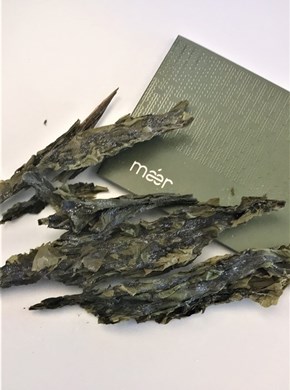 Dried Sugar kelp leaves