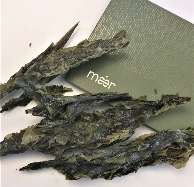 Dried sugar kelp leaves
