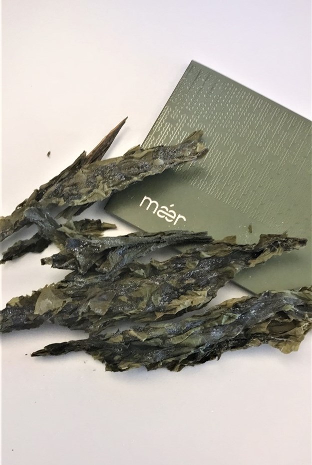 Dried sugar kelp leaves