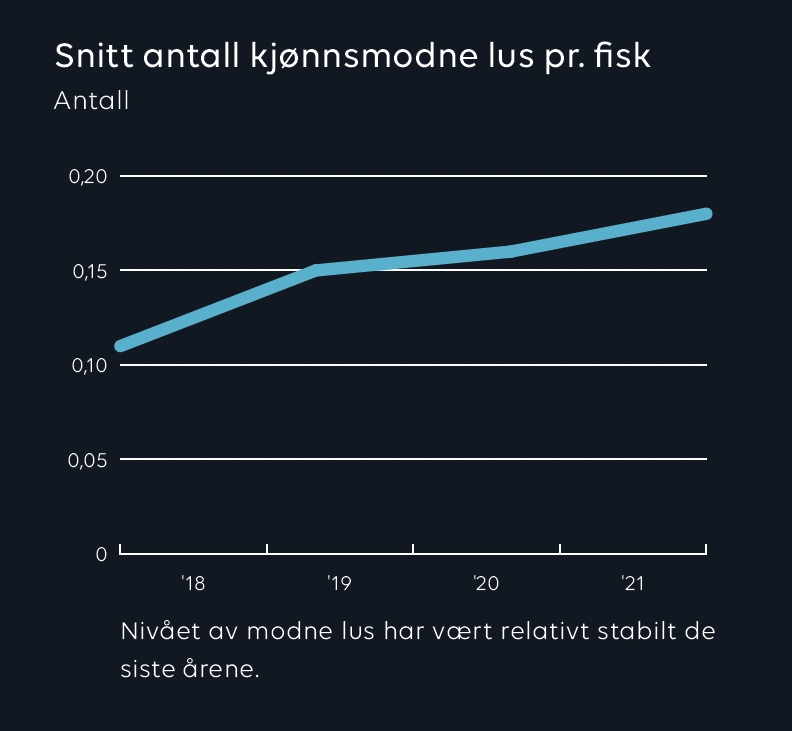 Gj. antall lus per fisk 