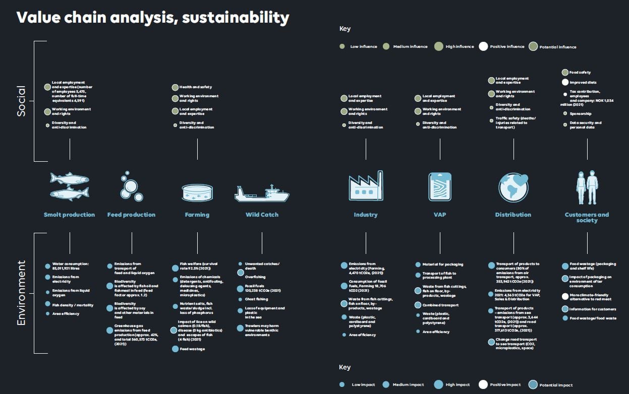Value chain analysis sustainability