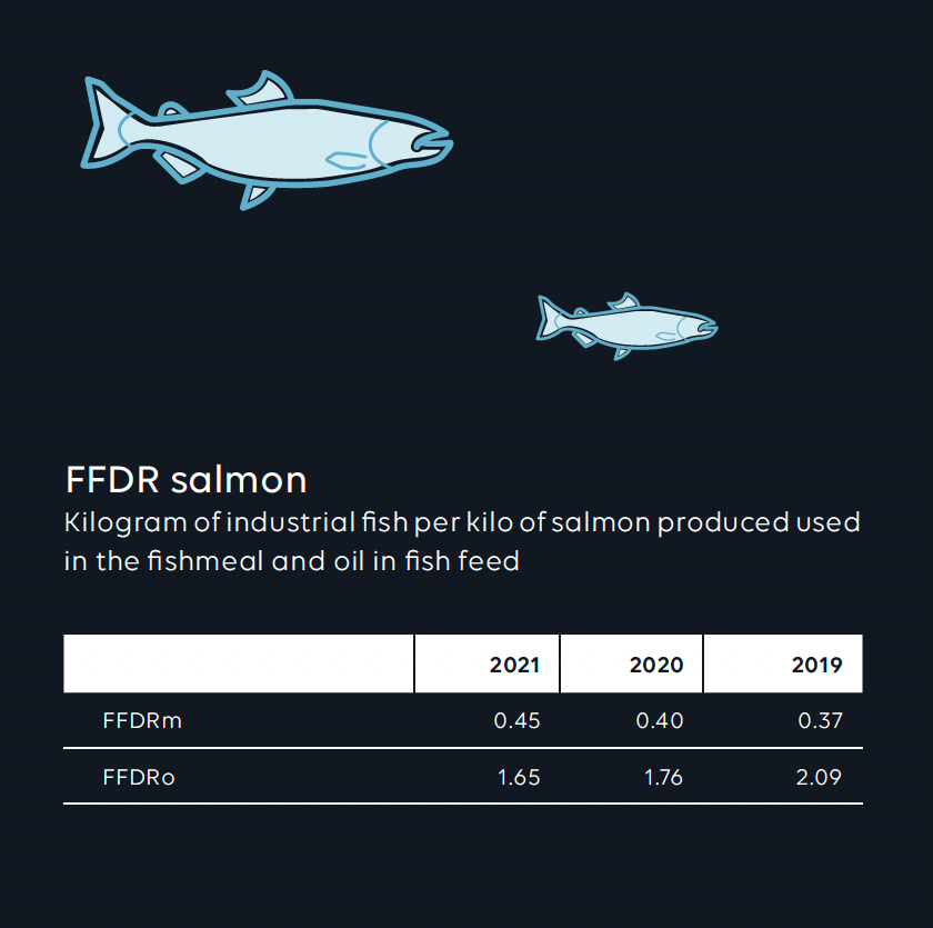 FFDR salmon illustration