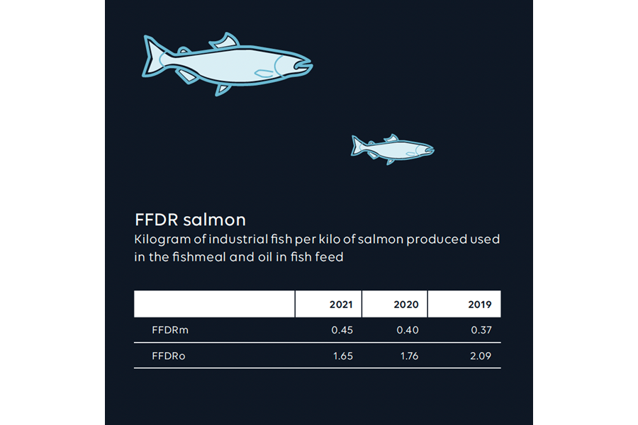 FFDR salmon illustration