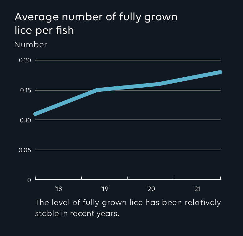 Average number of lice