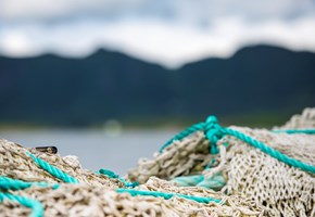 Fishing line in focus with ocean and mountains blurry in the backround