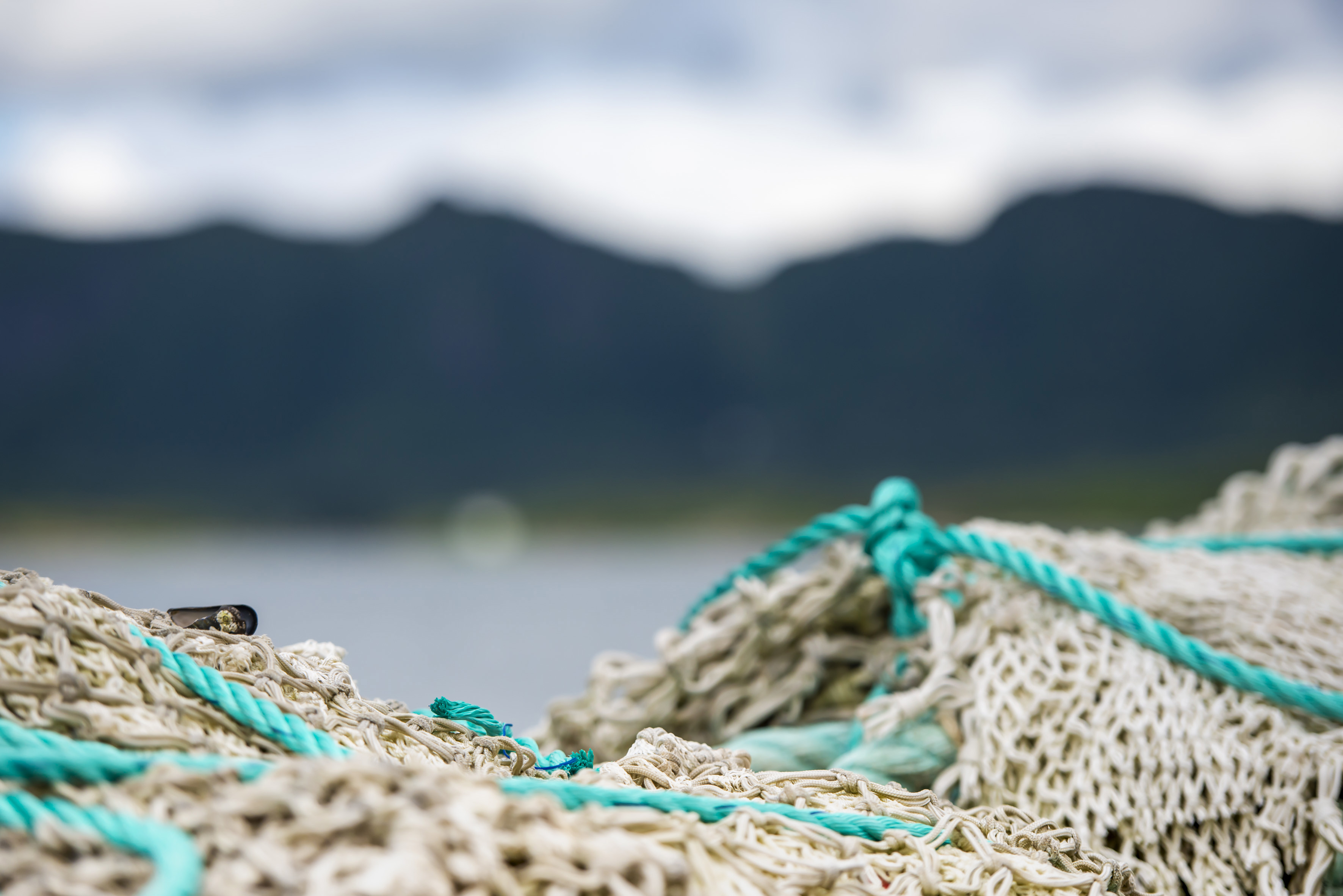 fishing line lying in the front in focus. In the back is skies, mountains and ocean blurry.