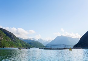 Havbruksannlegg ved fjord og fjell