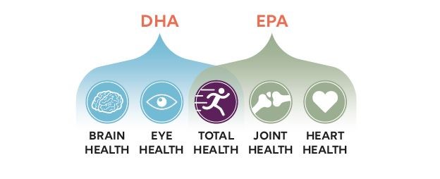 DHA and EPA benefits