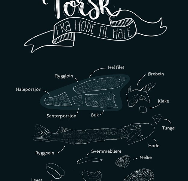 Illustrert plakat med deler av torsk